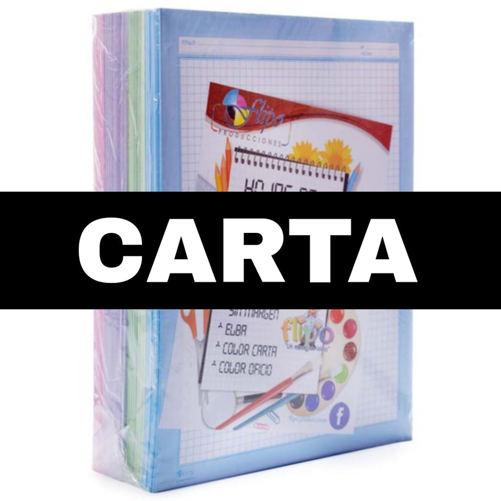 Hojas Cuadernillo Carta COLOR 100box