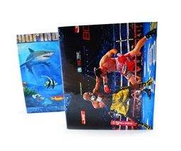 [CART-3G-CAR] Cartapacio Corina CARTA para 3 orificios