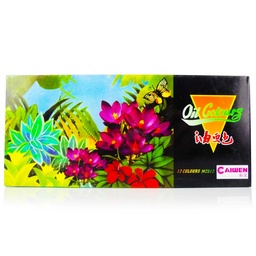 [M2512] Pinturas Oleo Caiwen 12 Colores